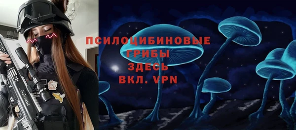 молекула духа Алзамай