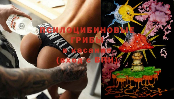 молекула духа Алзамай