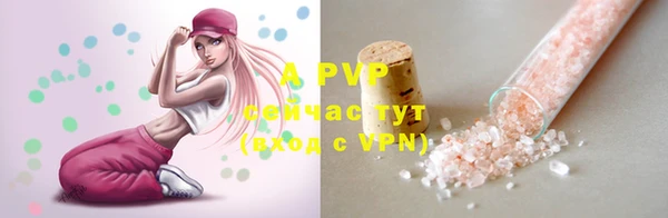 стаф Абаза