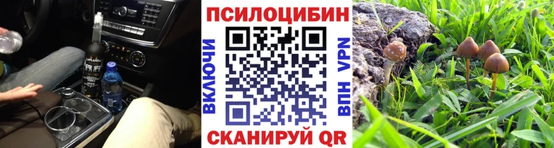 Псилоцибиновые грибы мухоморы  Чухлома 